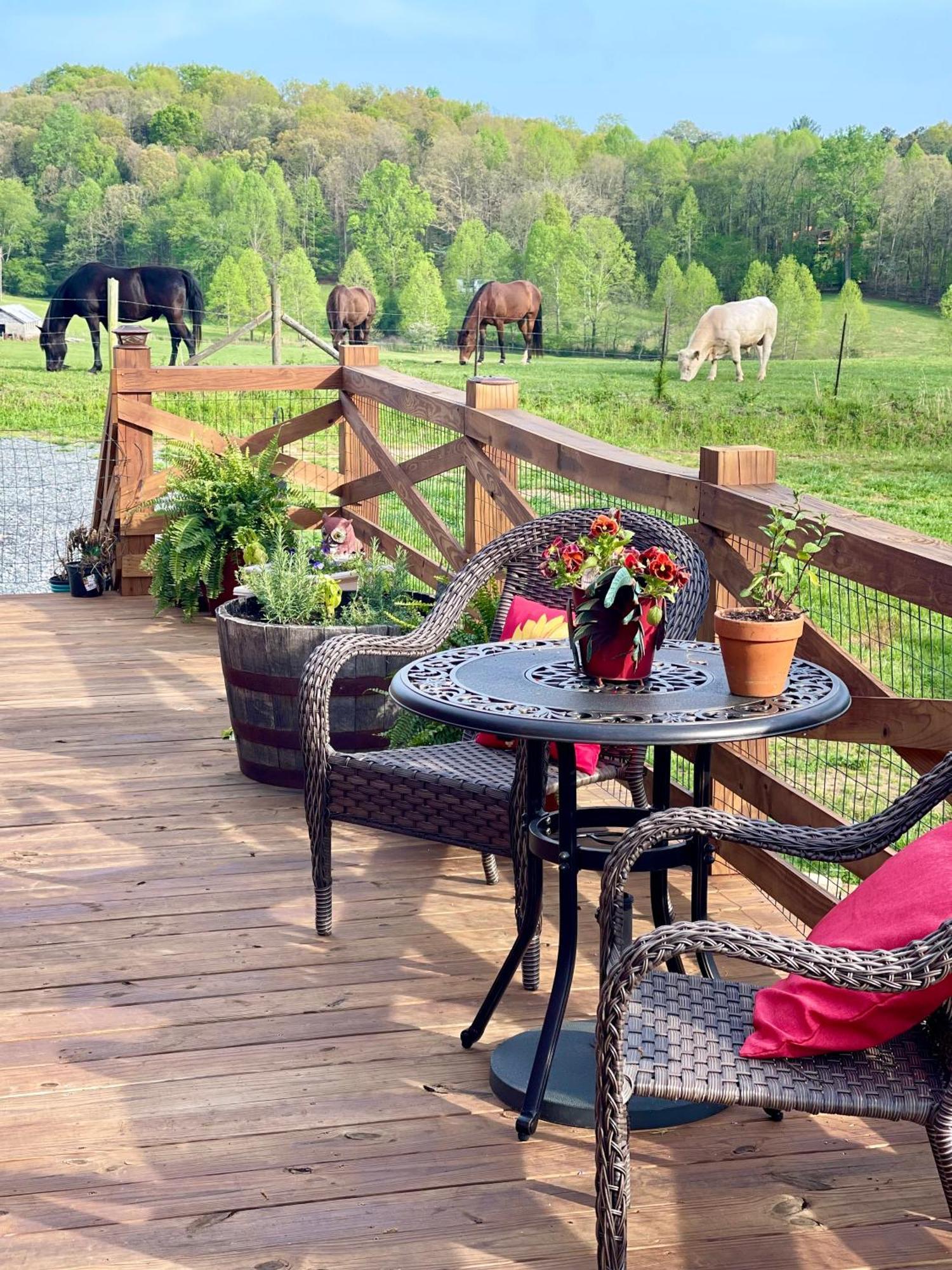 The Dogwood Inn Blue Ridge Luaran gambar